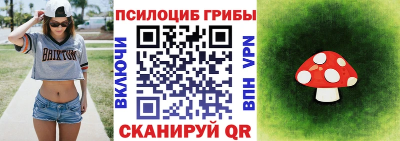 Галлюциногенные грибы MAGIC MUSHROOMS  Полярные Зори 