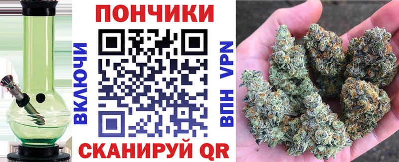 Шишки марихуана планчик  Полярные Зори 
